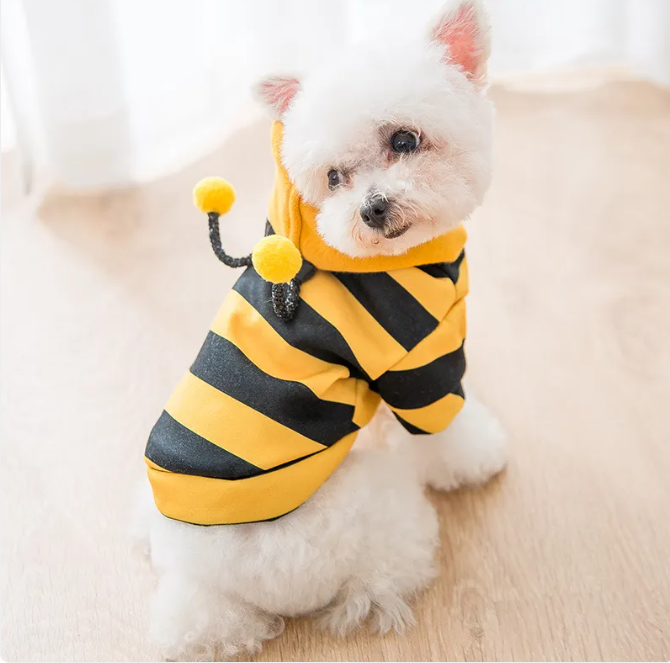 Bumblebee costume