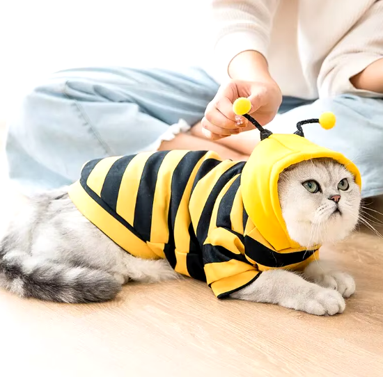 Bumblebee costume