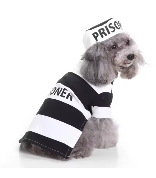 Prisoner Costume