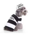 Prisoner Costume